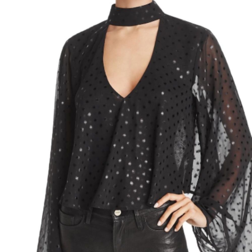 Show Me‎ Your Mumu Olsen Choker Top Blouse Chiffon